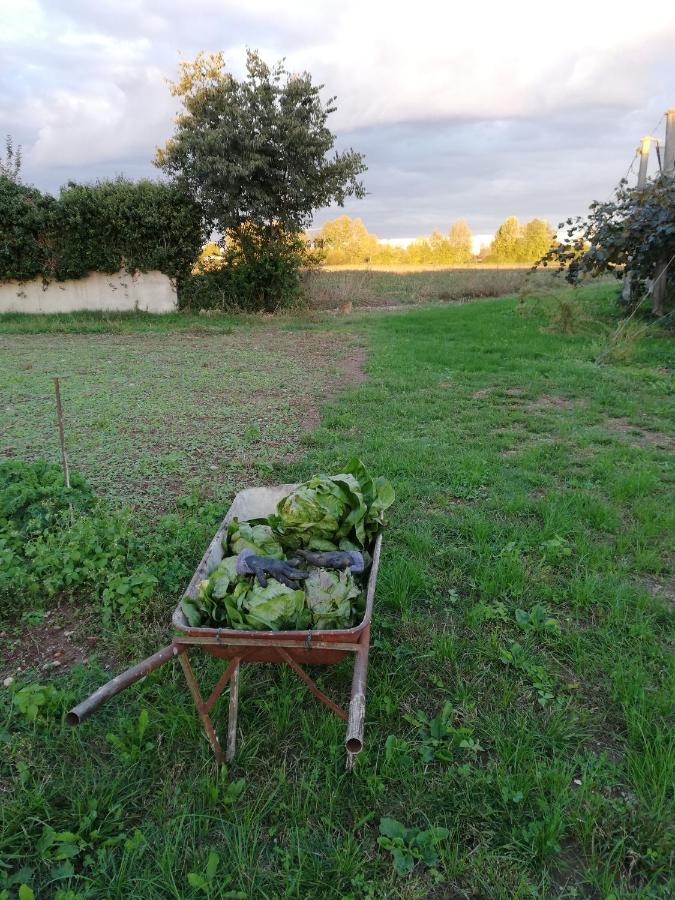 Borgo D'Asolo Villa San Vito Di Altivole Kültér fotó