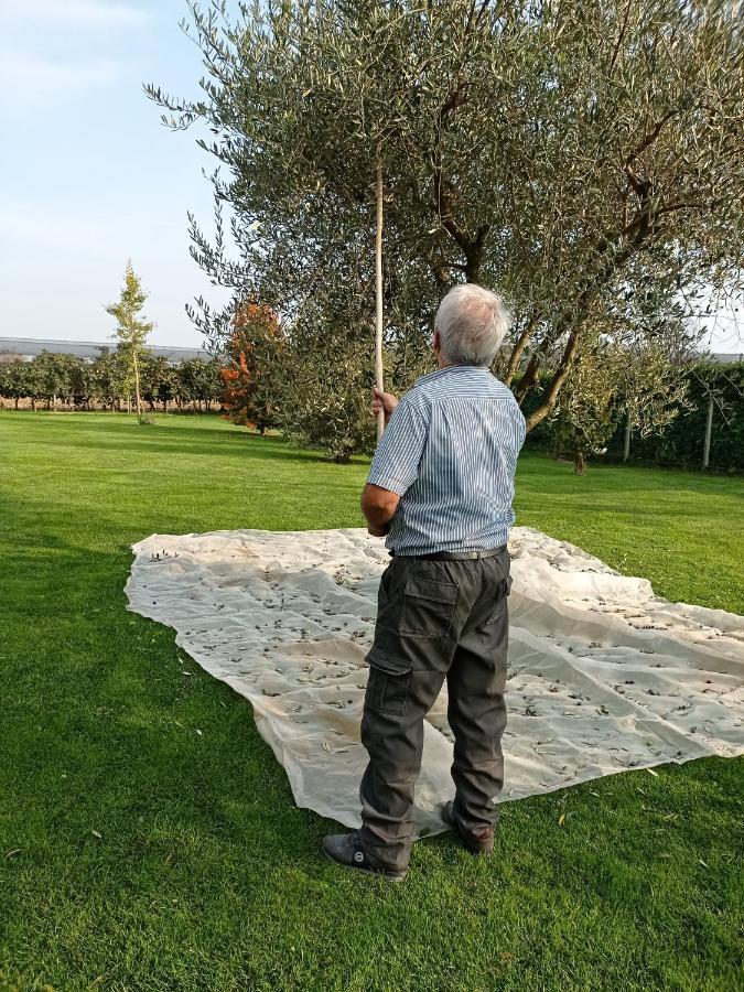 Borgo D'Asolo Villa San Vito Di Altivole Kültér fotó