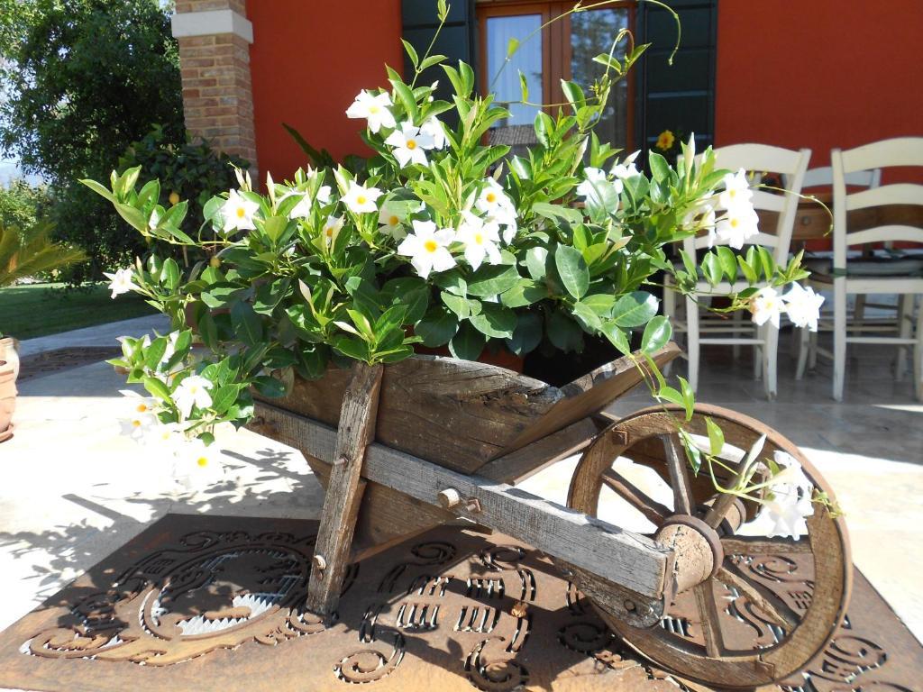 Borgo D'Asolo Villa San Vito Di Altivole Kültér fotó