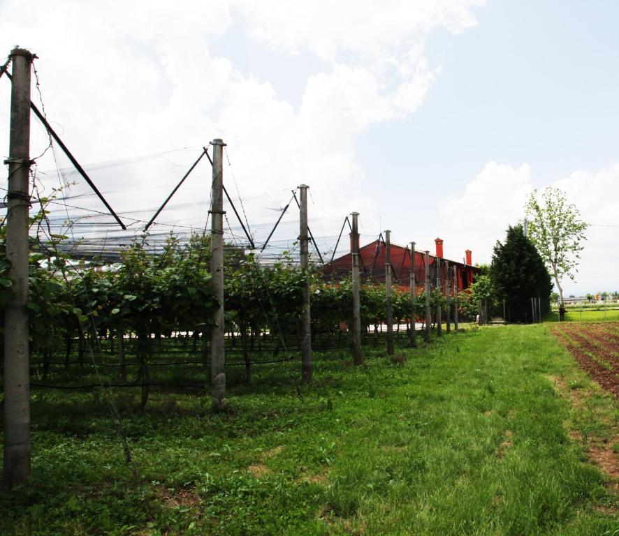 Borgo D'Asolo Villa San Vito Di Altivole Kültér fotó